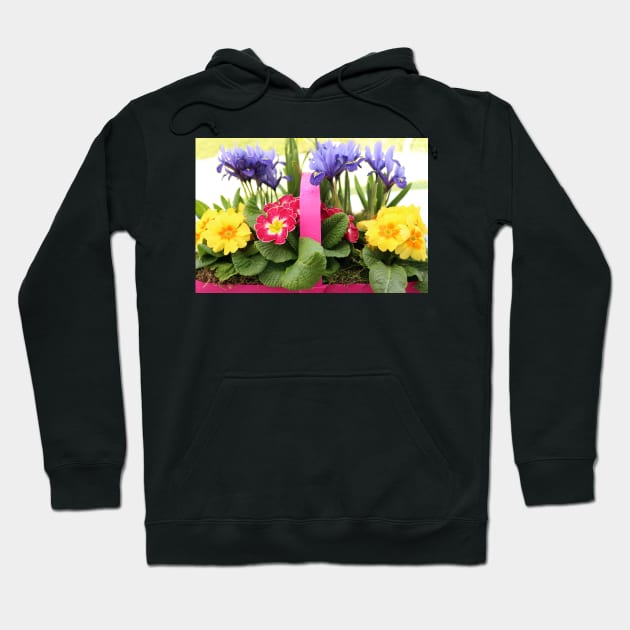 Colourful Spring Flowers Hoodie by pinkal